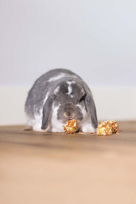 Beeztees Cones - Knaagdiersnack - 10 Stuks - appel