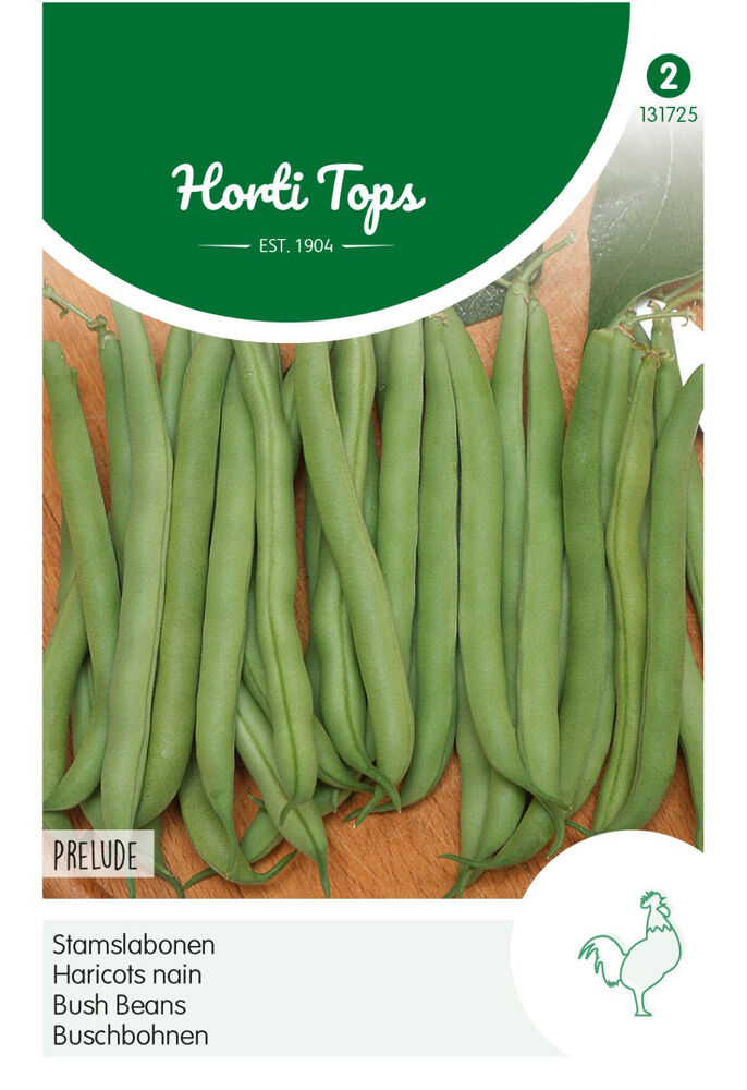 Hortitops Stamslaboon Prelude Phaseolus vulgaris - Groentezaden - 25 Gram