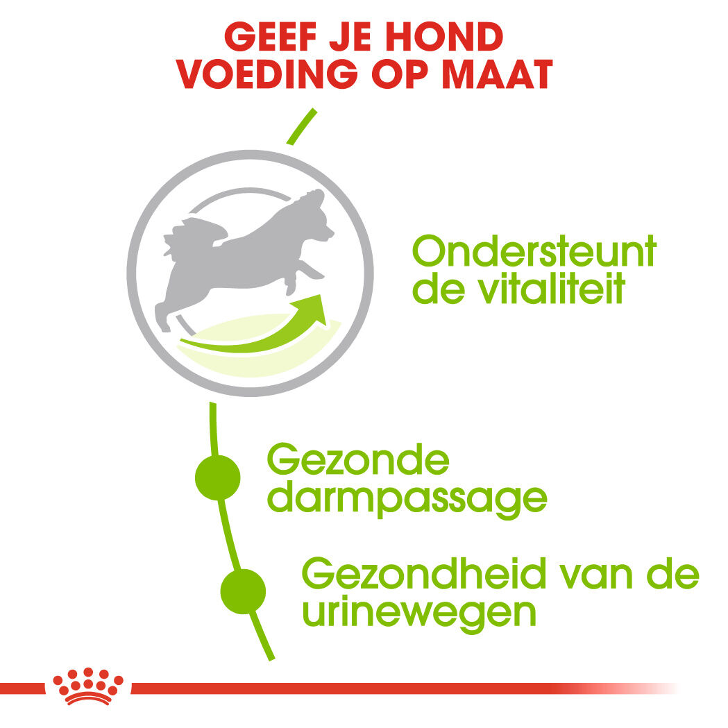 Royal Canin X-Small Adult 8+ - Hondenvoer - 1.5 Kilogram - gevogelte