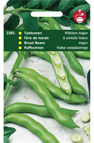 Hortitops Tuinbonen Vicia faba Witkiem Major - Groentezaden