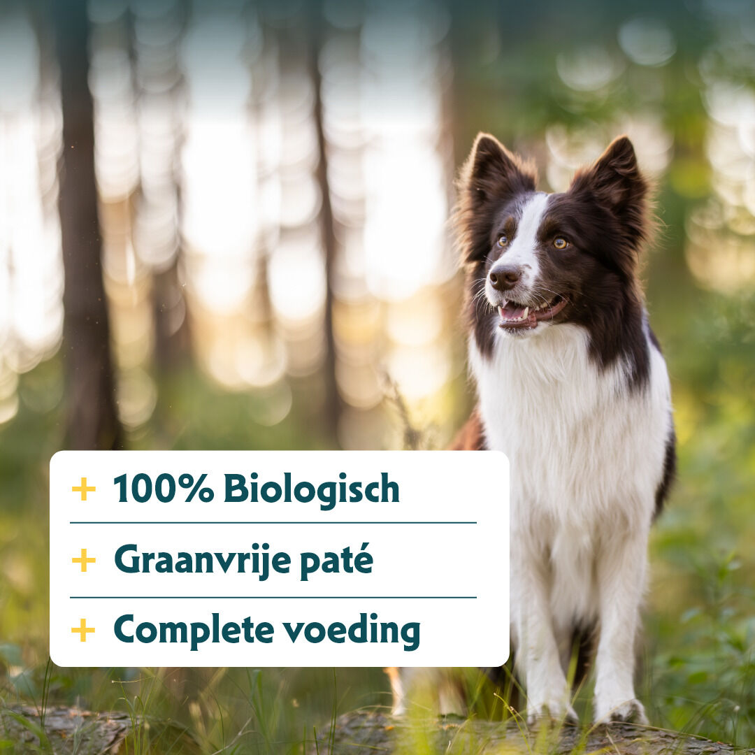 Yarrah Bio Pate Graanvrij - Hondenvoer - 150 Gram - Kalkoen