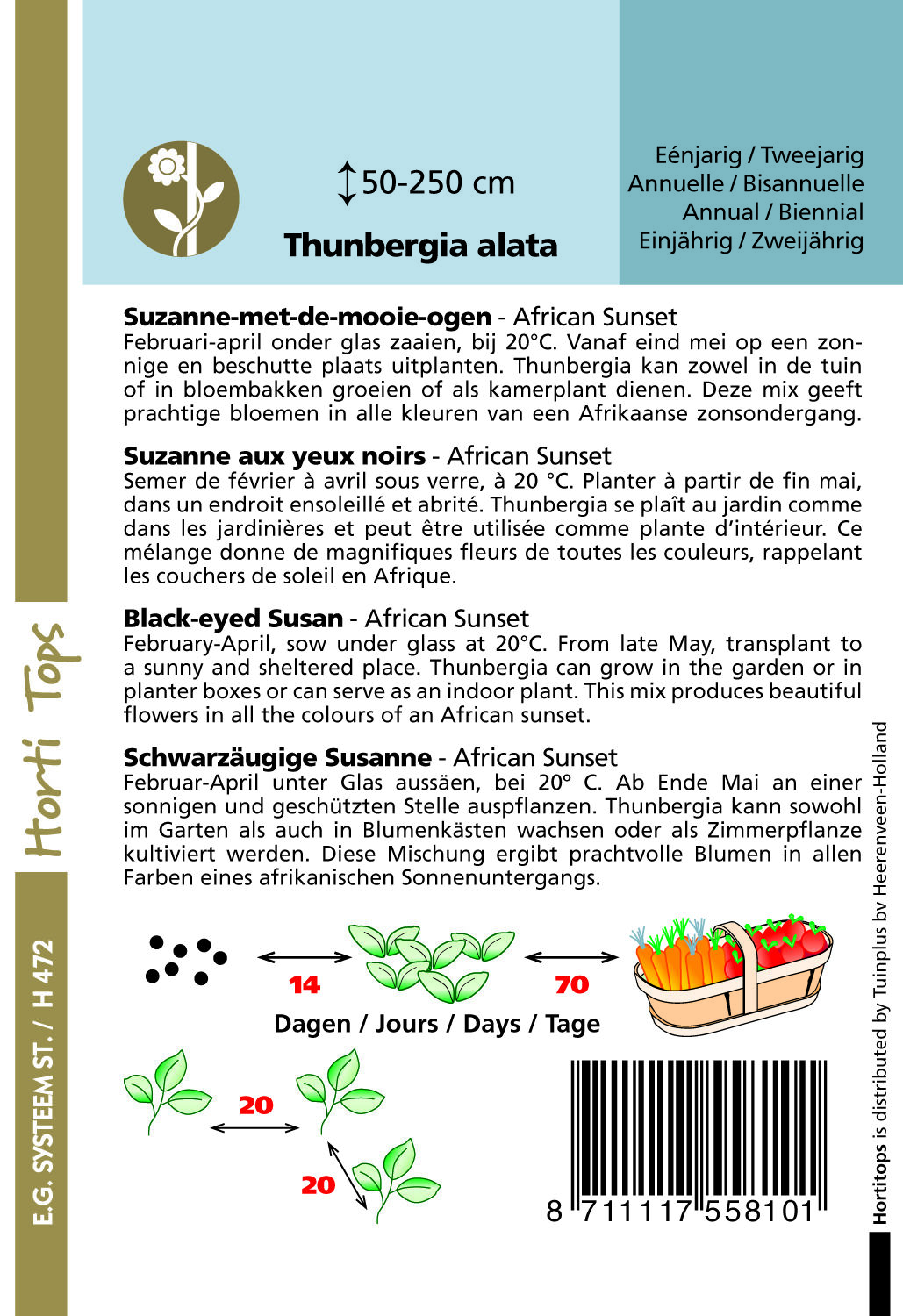 Hortitops Suzanne-met-de-mooie-ogen mix Thunbergia alata  - Bloemzaden