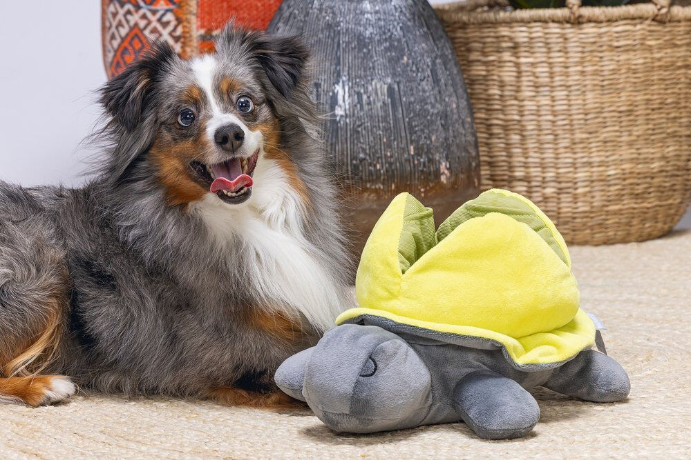 Beeztees Hide and Seek Schildo - Snuffelmat - Hondenspeelgoed - Multi - 15x24x30 cm