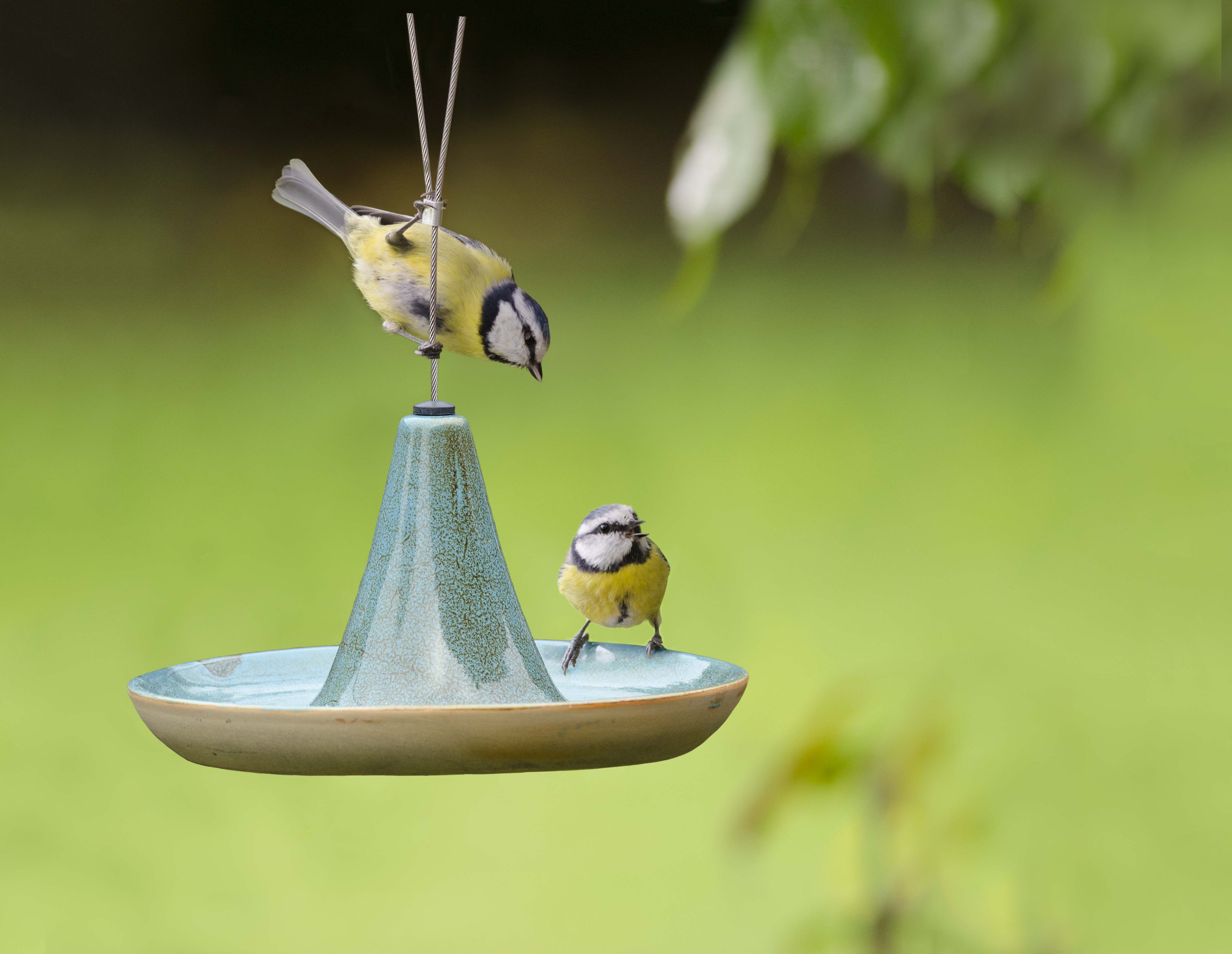 CJ Wildlife Vierno Tajine - Waterschaal - Tuinvogels - 11.5x19.5x19.5 cm