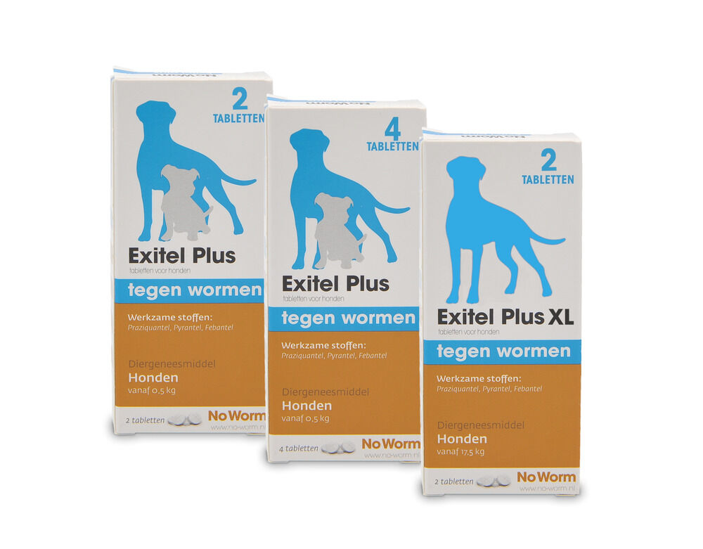 No Worm Exitel Plus Hond vanaf 0,5kg  Tabletten - Wormenmiddel - 2 Stuks - M