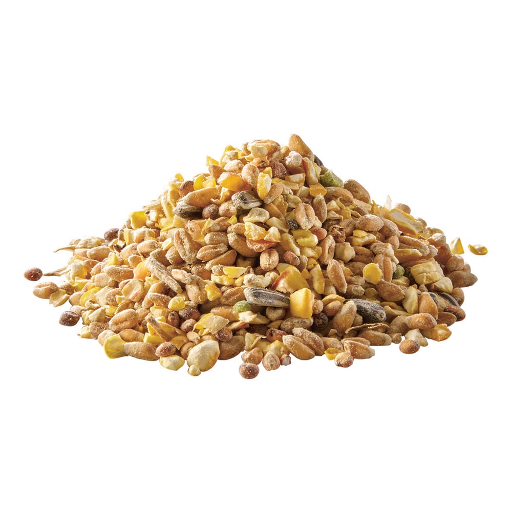 Welkoop Gemengd graan - Krielkippen - Kippenvoer - 20 Kilogram