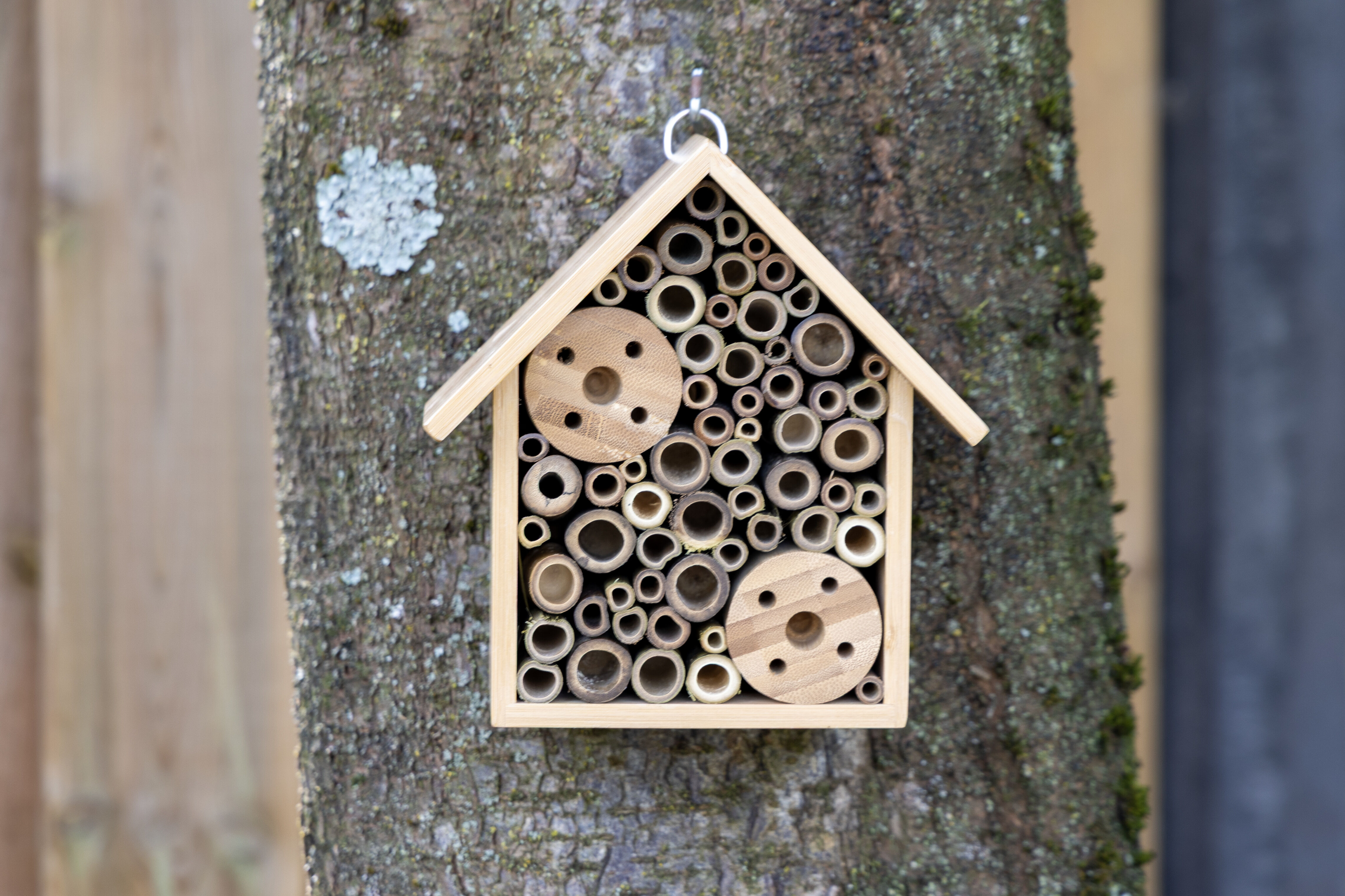 CJ Wildlife - Atika - Insectenhotel - Bruin