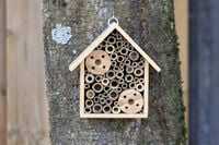 CJ Wildlife - Atika - Insectenhotel - Bruin