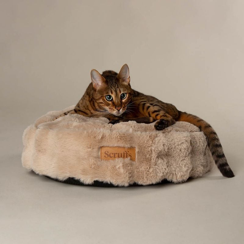 Scruffs Alpine - Kattenmand - Wit - 12x50x50 cm - XS