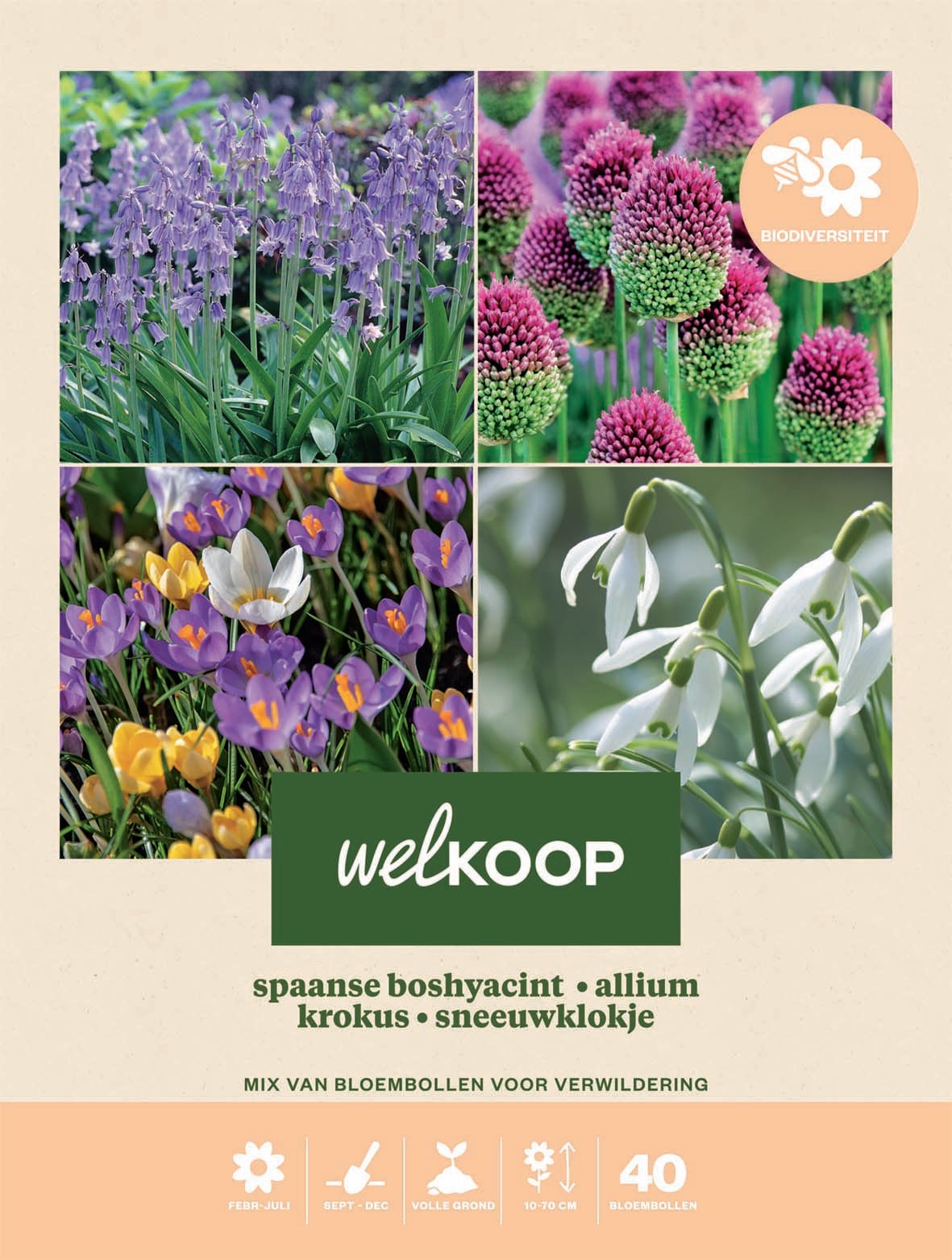 Welkoop Spaanse boshyacint Allium Krokus Sneeuwklokje - Biodiversiteit - Bloembollen Welkoop Spaanse boshyacint Allium Krokus Sneeuwklokje - Biodiversiteit - Bloembollen