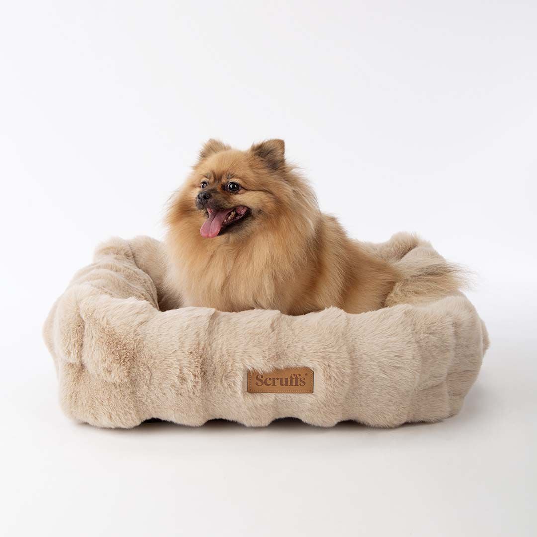 Scruffs Alpine - Hondenmand - Beige - 27x70x50 cm - M