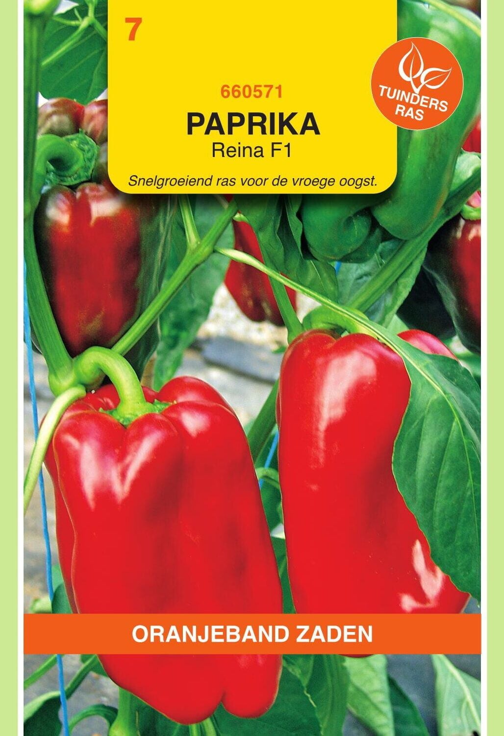 Oranjeband Paprika Reina F1 - Groentezaden