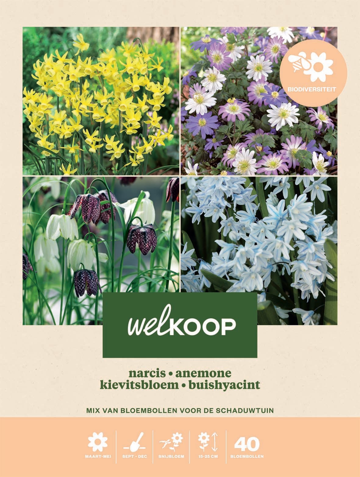 Welkoop Narcis Anemone Kievitsbloem Buishyacint - Biodiversiteit - Bloembollen Welkoop Narcis Anemone Kievitsbloem Buishyacint - Biodiversiteit - Bloembollen