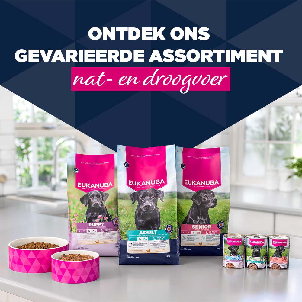 Eukanuba Senior Paté  - Hondenvoer - 400 Gram - lam