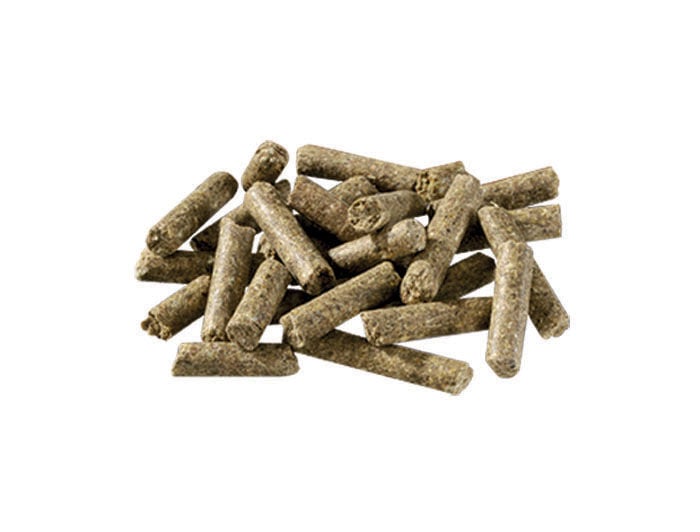 Pavo BasicPlus  - Basisvoeding - 20 Kilogram - Zak