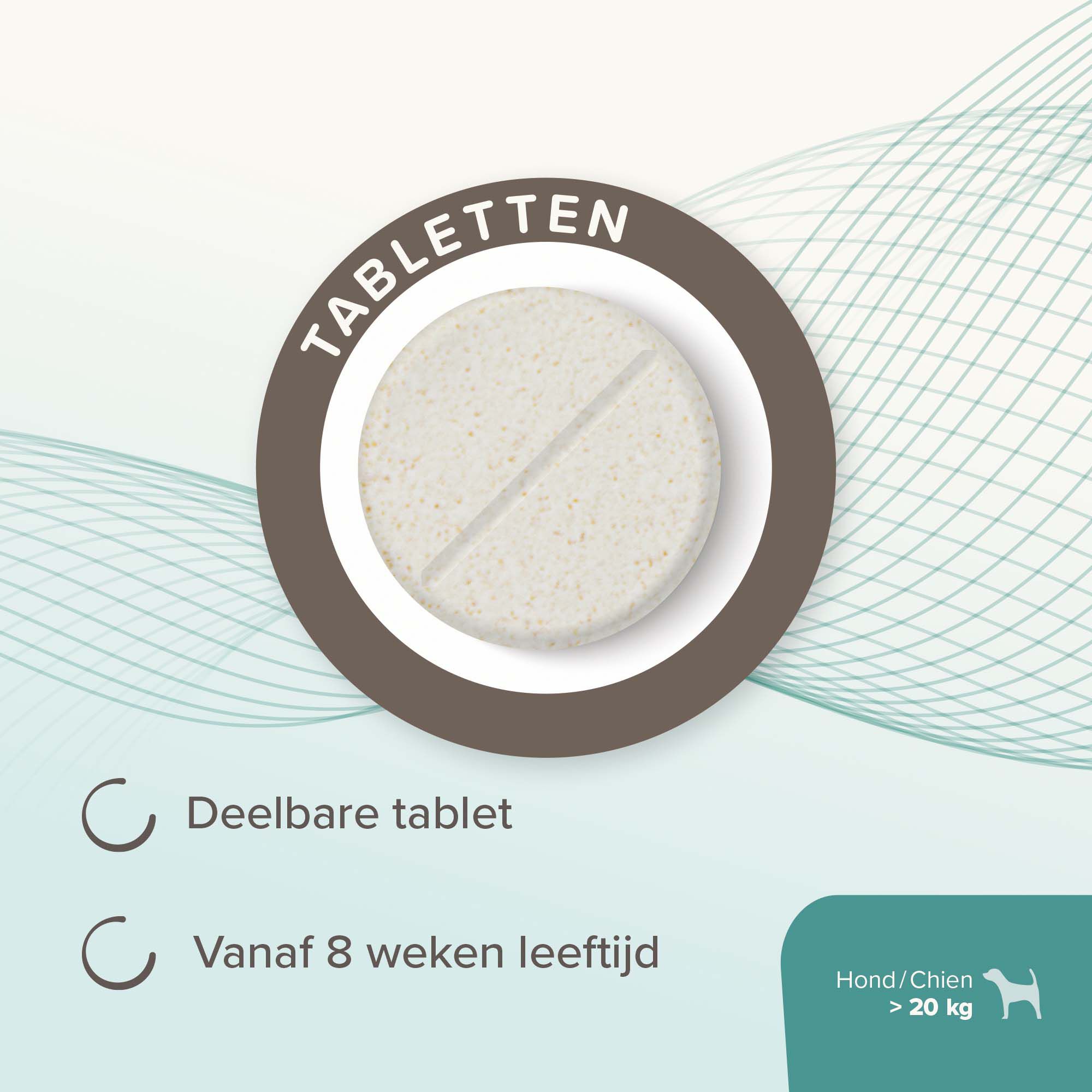 Beaphar IntestoPro Kat - Hond vanaf 20kg - Verlicht darmproblemen - 20 Stuks - M