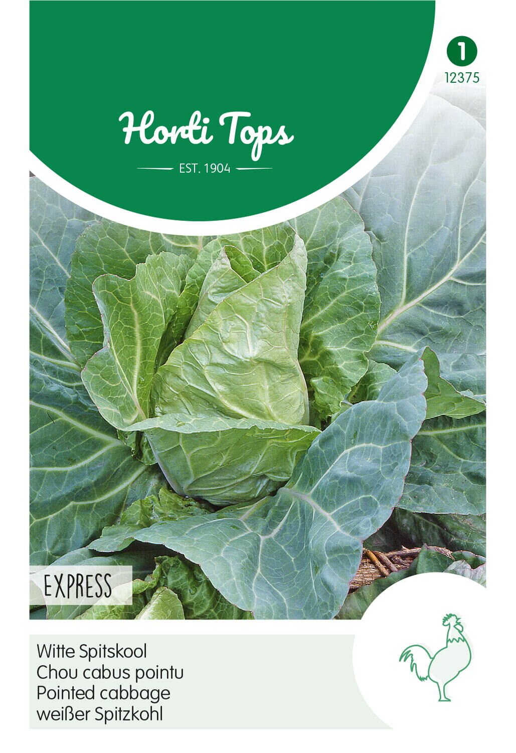 Hortitops Spitskool Brassica oleracea Express, Vroege Spitse - Groentezaden