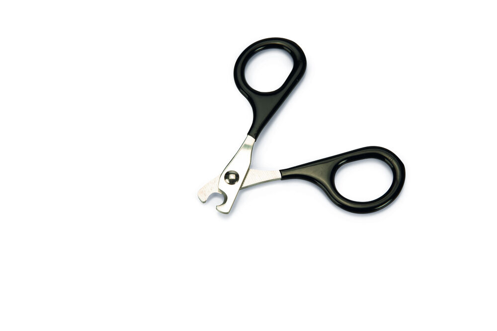 Beeztees - Nagelschaar - Zwart/grijs - 13x9x0.5 cm