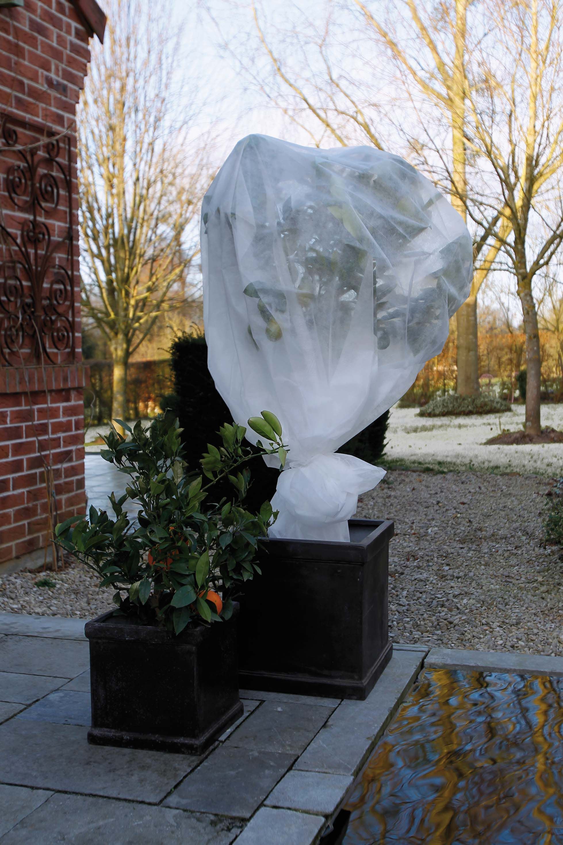 Nature Winterafdekvlies- Plantbescherming Nature Winterafdekvlies- Plantbescherming