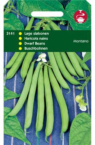 Hortitops Stamslaboon Modesto - Groentezaden