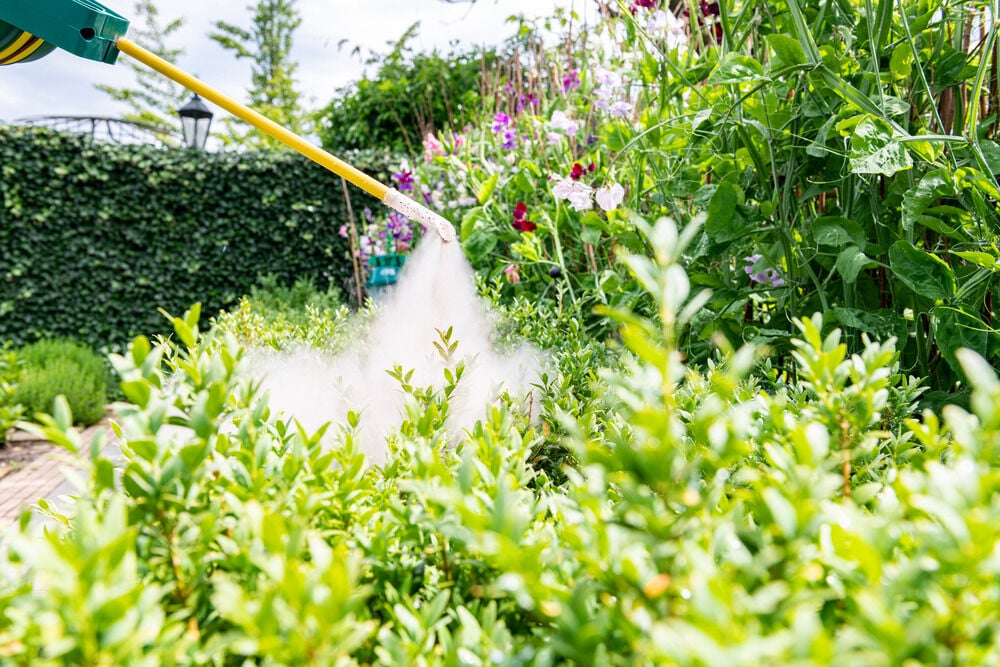 DCM Naturapy Poederverstuiver - Poederverstuiver