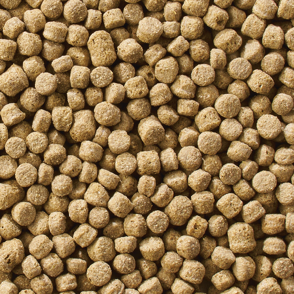 Welkoop Drijvende voeding - Watervogelvoer - 12 Kilogram