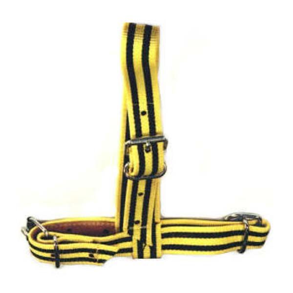 Keuringshalster Kalf