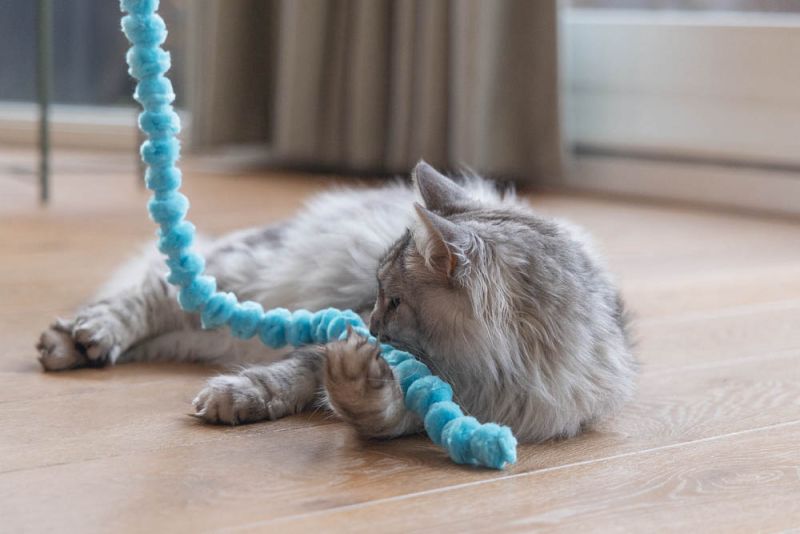 Beeztees Hengel Sliert - Kattenspeeltje - Multi