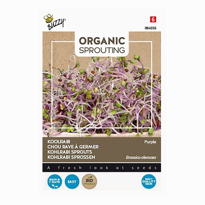 Buzzy® Organic Sprouting - Koolrabi blauwpaars Buzzy® Organic Sprouting - Koolrabi blauwpaars