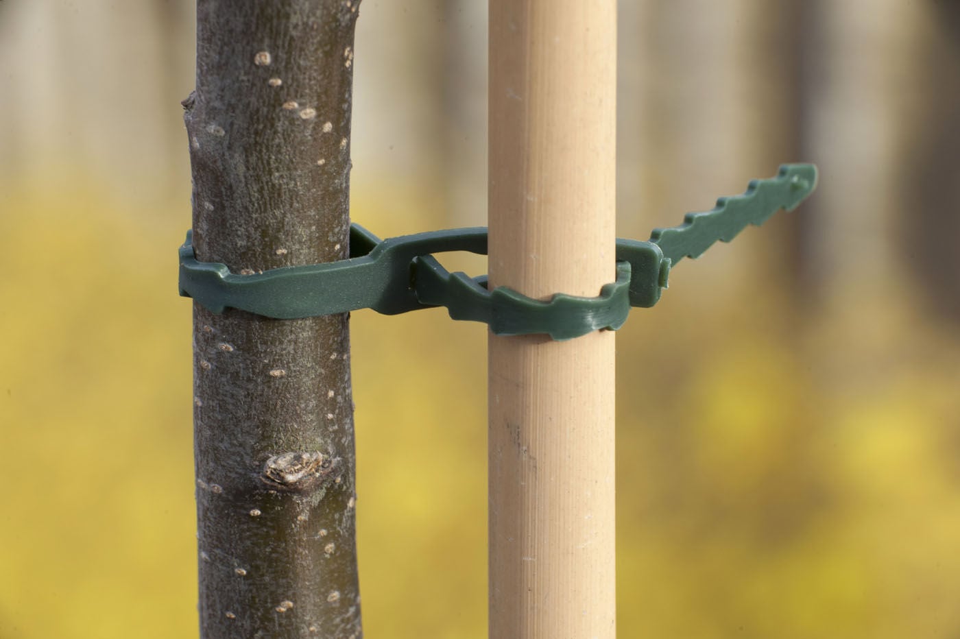 Nature Plastiband - Touw en Bindmaterialen Nature Plastiband - Touw en Bindmaterialen
