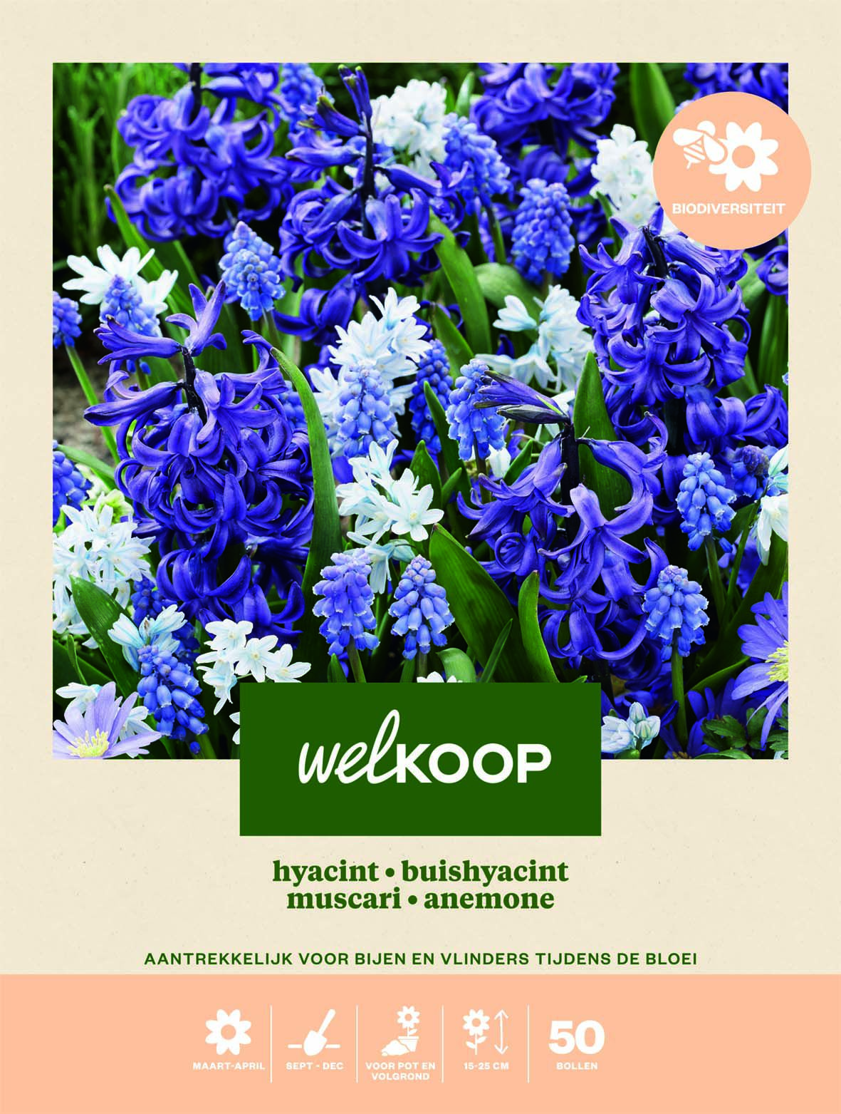 Welkoop Hyacint Blauwe druifjes Anemone Biodiversiteit - Bloembollen Welkoop Hyacint Blauwe druifjes Anemone Biodiversiteit - Bloembollen