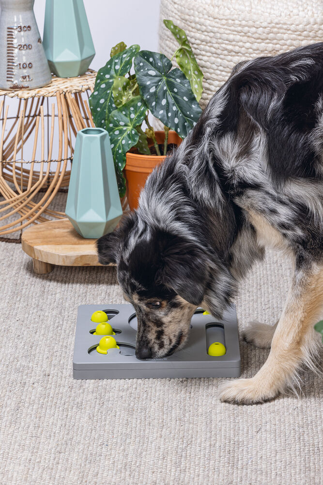 Beeztees Braingame Looki - Puzzel - Hondenspeelgoed - Multi - 4.5x28x28 cm