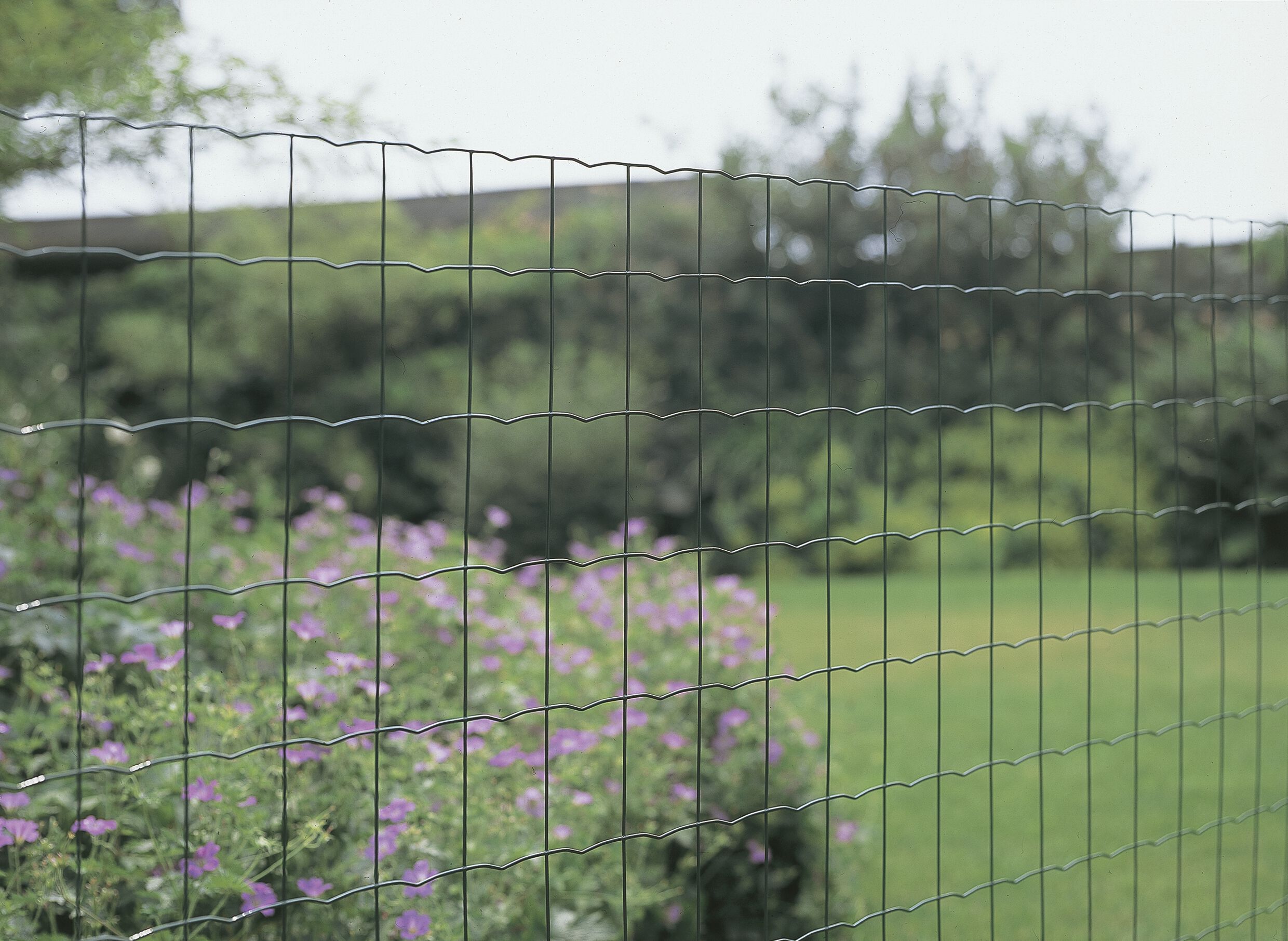 Betafence - Pantanet Light - Gelast tuingaas - Groen - 100 cm - 103x31x31 cm - 250 cm