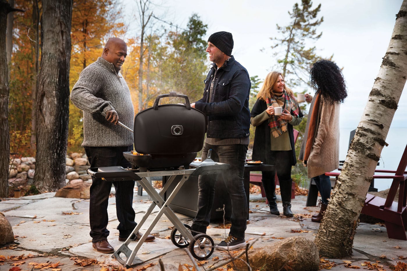 Napoleon TravelQ 285X - Gasbarbecue - Zwart - 2