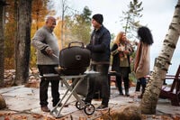 Napoleon TravelQ 285X - Gasbarbecue - Zwart - 2