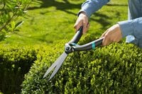 Gardena PrecisionCut - Hand heggenschaar