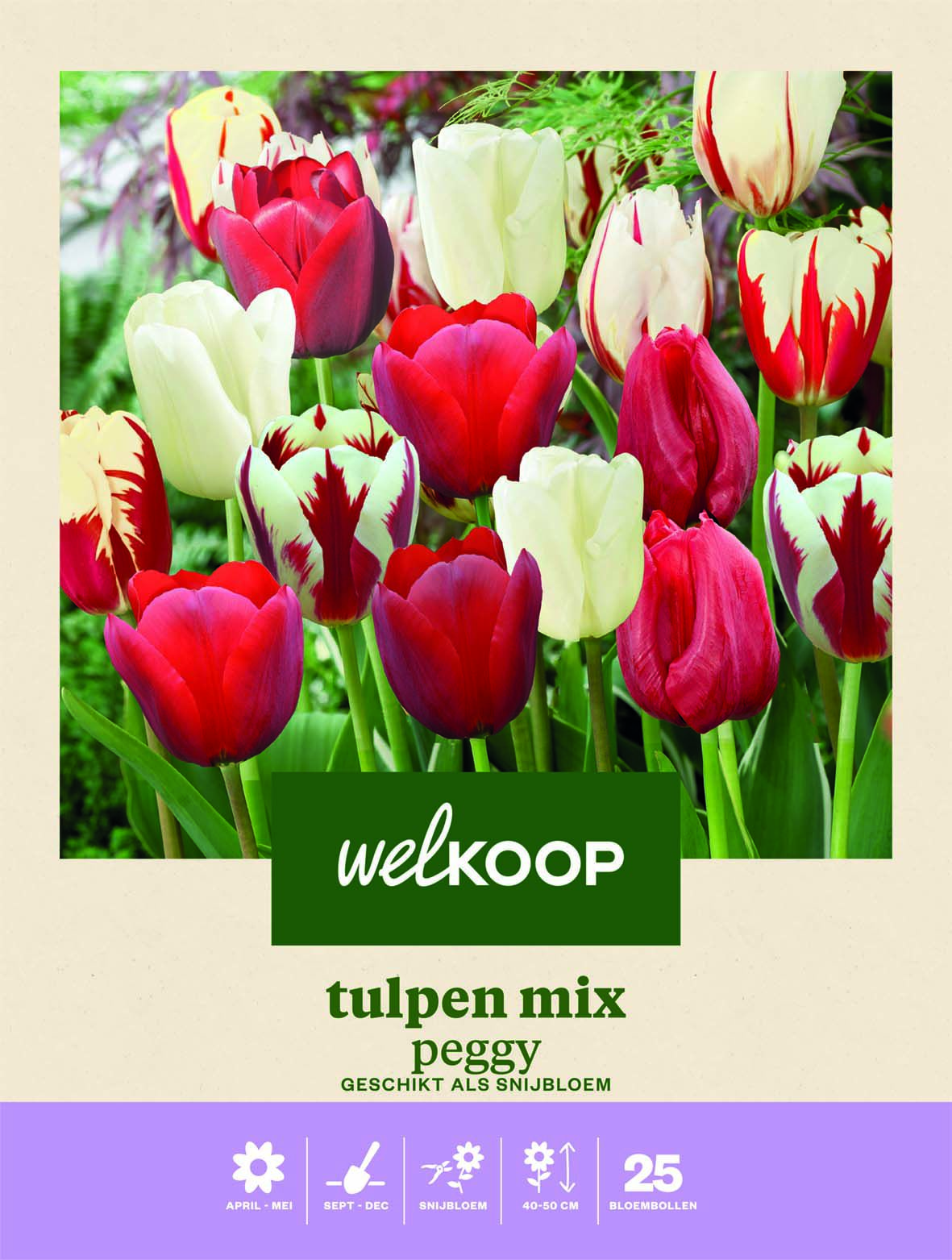 Welkoop Tulpen mix Peggy - Bloembollen
