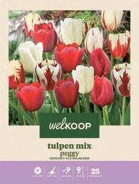Welkoop Tulpen mix Peggy - Bloembollen