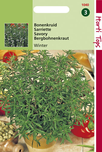 Hortitops Bonenkruid Satureja montana Overblijvende - Kruidenzaden