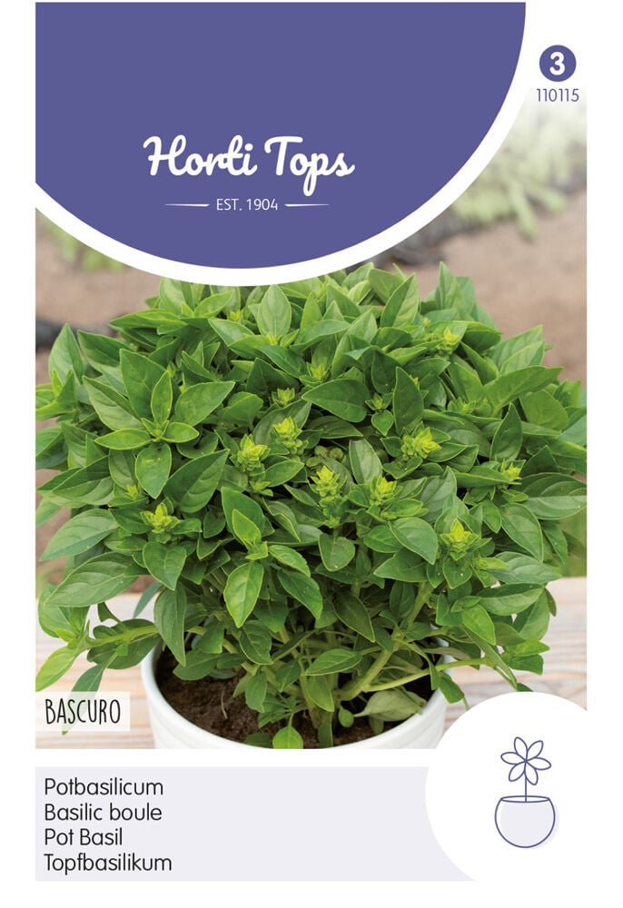 Hortitops Basilicum Ocimum basilicum Bascuro - Donkergroene - Kruidenzaden
