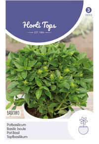 Hortitops Basilicum Ocimum basilicum Bascuro - Donkergroene - Kruidenzaden