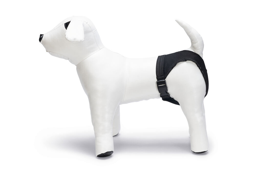 Beeztees - Loopsheidbroekje - Hond - Zwart - 2XL