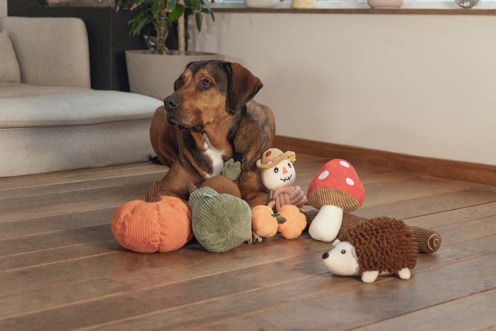 Beeztees Paddenstoel Toad - Knuffel - Hondenspeelgoed - Rood - 14x15x1 cm