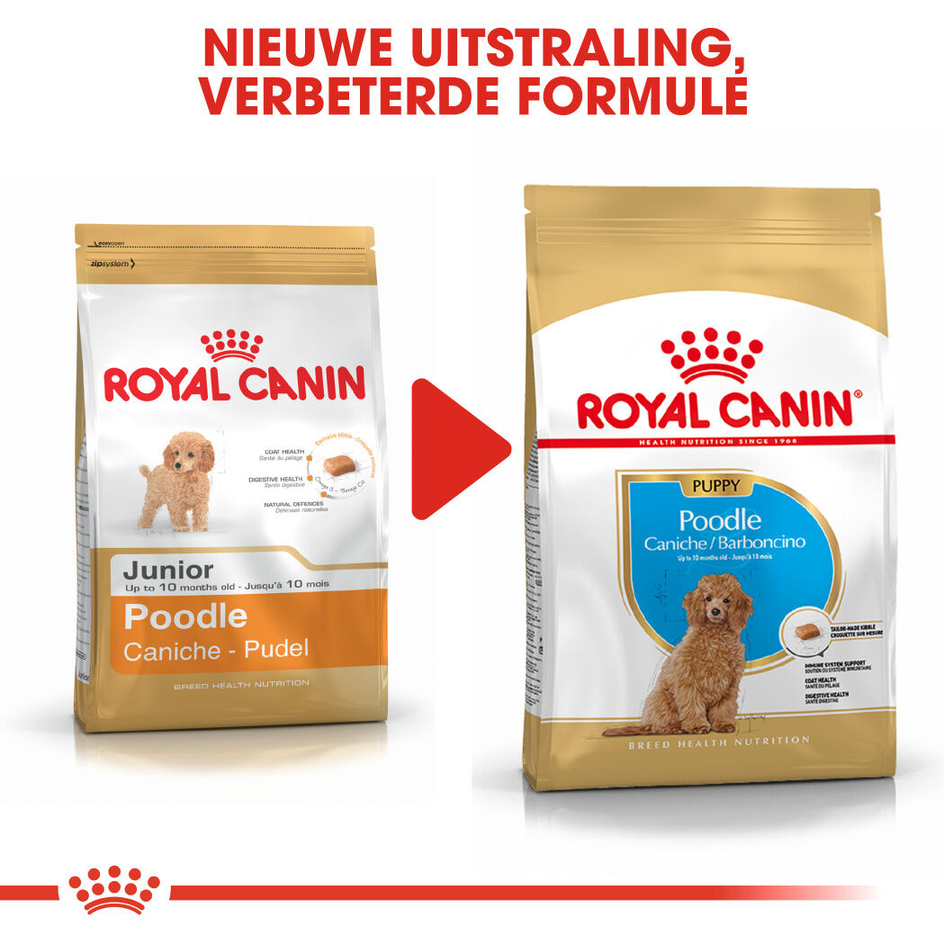 Royal Canin Poedel Junior - Hondenvoer - 3 Kilogram - gevogelte