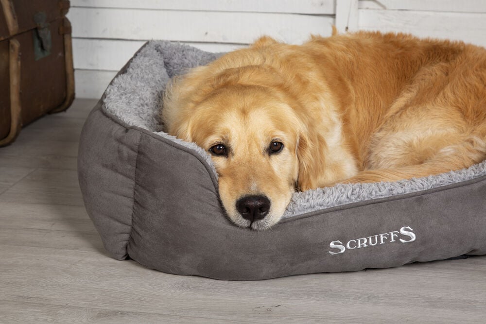 Scruffs Cosy Box Bed - Hondenmand - grijs - 1x70x90 cm - XL
