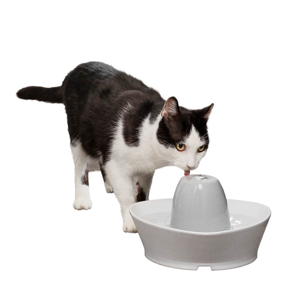 Petsafe Streamside - Drinkfontein - Wit - 14x26x26 cm