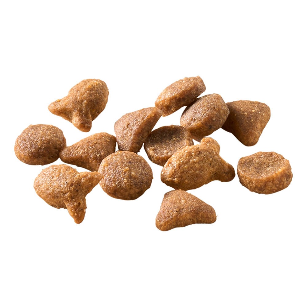 Welkoop Adult - Kattenvoer - 10 Kilogram - vis Welkoop Adult - Kattenvoer - 10 Kilogram - vis