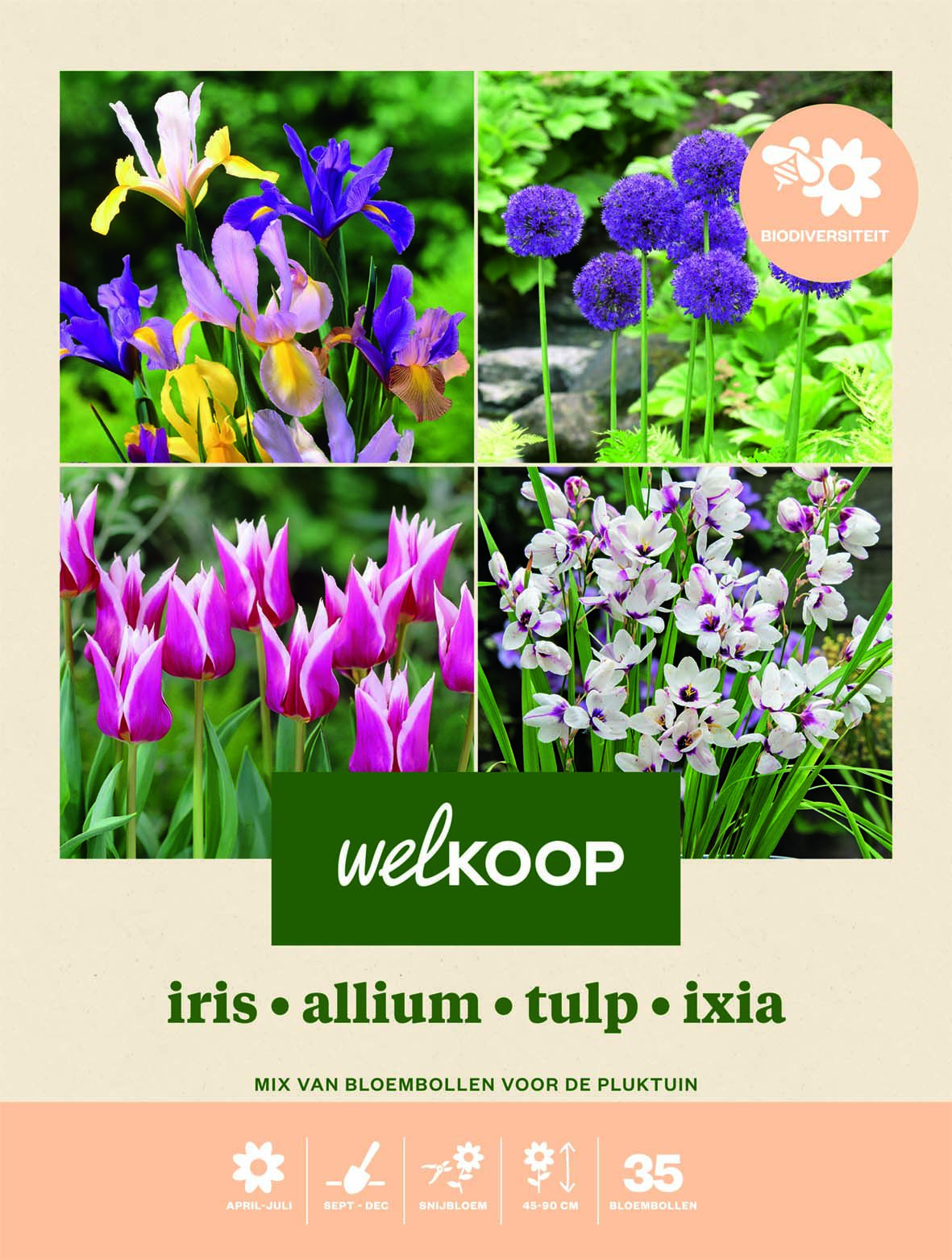Welkoop Iris Allium Tulp Ixia - Biodiversiteit - Bloembollen Welkoop Iris Allium Tulp Ixia - Biodiversiteit - Bloembollen