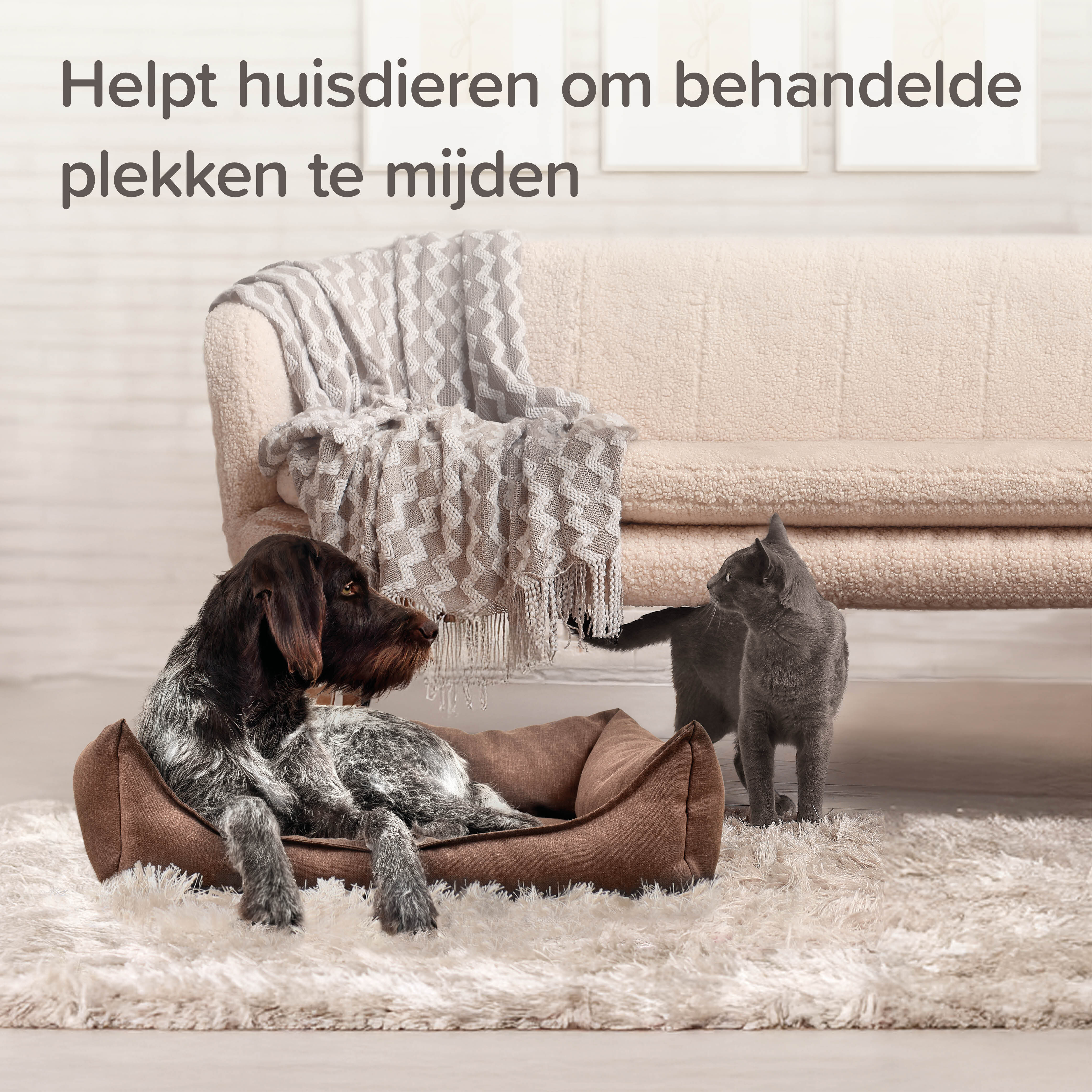 Beaphar Keep Off - Afweermiddel - 200 Milliliter