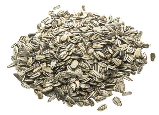 Welkoop Zonnebloempitten Gestreept - Vogelvoer - 2.5 Kilogram